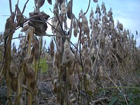 �t�������Ă��܂���