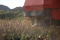 ����莞�ɏo�隺