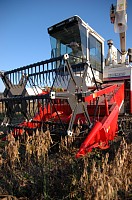 �哤�R���o�C���ɂĊ����