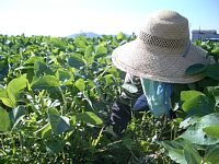 ���m�X�͕K���i