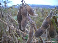 �哤���A�������点�鎞���ł���