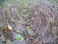 �t�������Ă��܂���