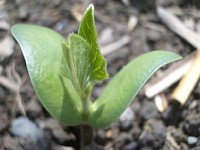 6��24���̑哤