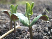 6��24���̑哤