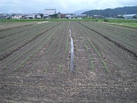 7��5���@�哤