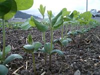 �哤�̐���