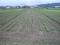 7��10���@�哤