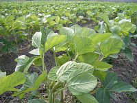 7��19���@�哤