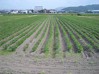 7��19���@�哤