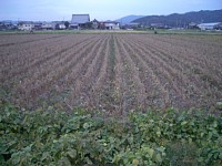 �哤�̓c��ځ@10/14