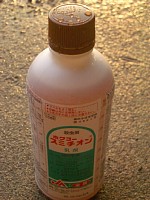 �X�~�`�I��