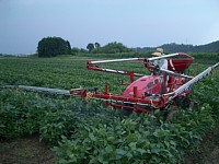 �����̎U�z