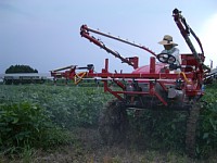 �����̎U�z