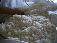 ���̐؂�ւ���