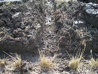 �Ȃ��ꂽ�a