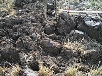 �a�ɗ��܂����y