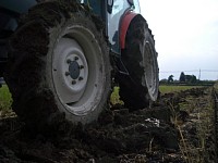 �^�C���œy����