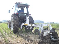 �g���N�^�[�a�؂�