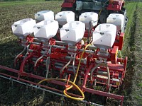 �����̔d��