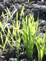 �肪�o�Ă����c