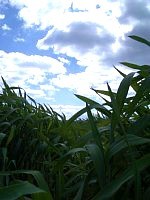 ��l�ȏ���