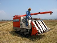 �R���o�C���̕����]��