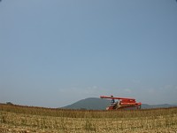 �R���o�C��1