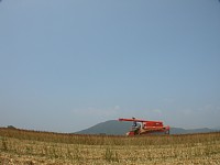 �R���o�C��2