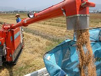 ������r�o