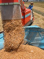 �r�o�A�b�v