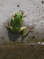 �J�G������