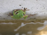 �J�G������A�ォ��