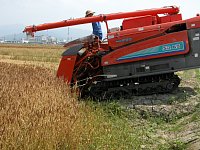 �����J�n