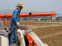 �����d��