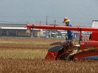 �R���o�C���őO�i