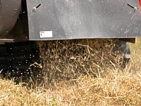 �������ׂ����ؒf