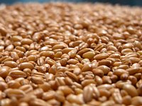 �����A�b�v