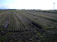 �肪�o�Ă�������