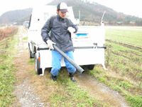 ���ӂ��w����